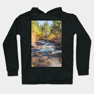 Lee Vining Creek Hoodie